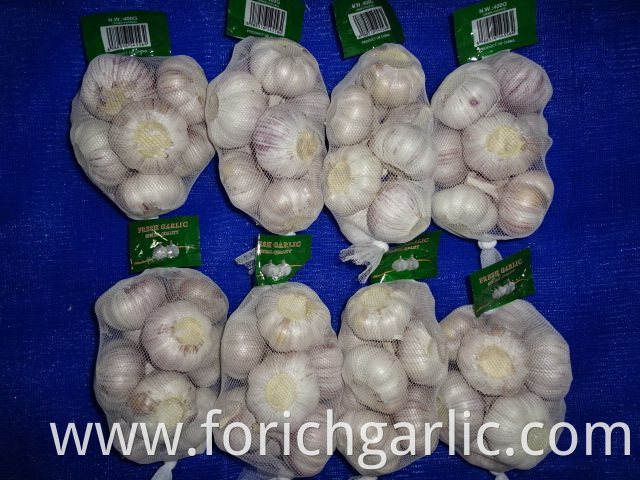 Export Standard New Garlic